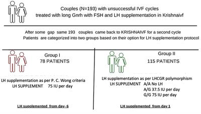 Effect of LHCGR Gene Polymorphism (rs2293275) on LH Supplementation Protocol Outcomes in Second IVF Cycles: A Retrospective Study